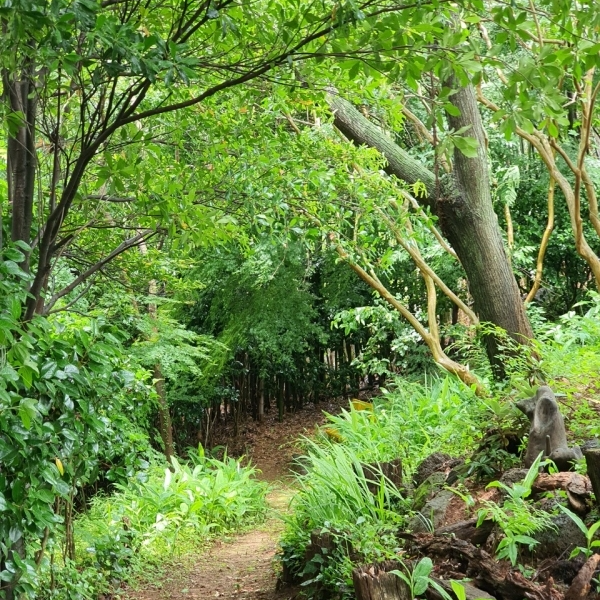 특색 있고 아름다운 민간 정원 30선 추천 여행 - 18. 순천 화가의 정원산책