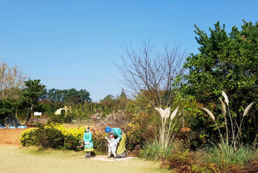 청산수목원 테마 정원으로 떠나는 태안 여행 