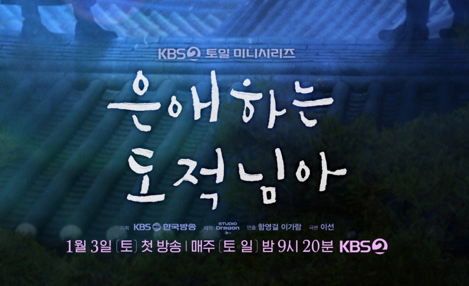 은애하는 도적님아 등장인물 출연진 몇부작 ott 기본정보