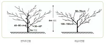 밤나무 재배 수분 수정 꽃가루 관리 해충 방제_8