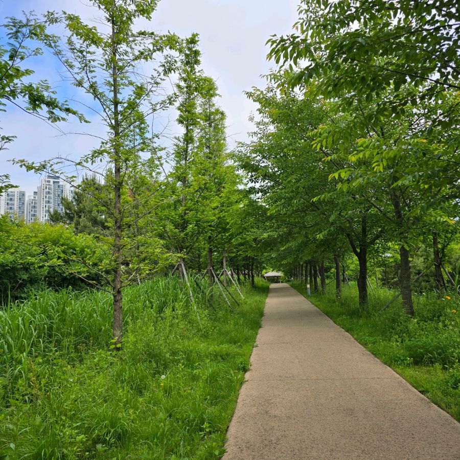 송도달빛축제공원