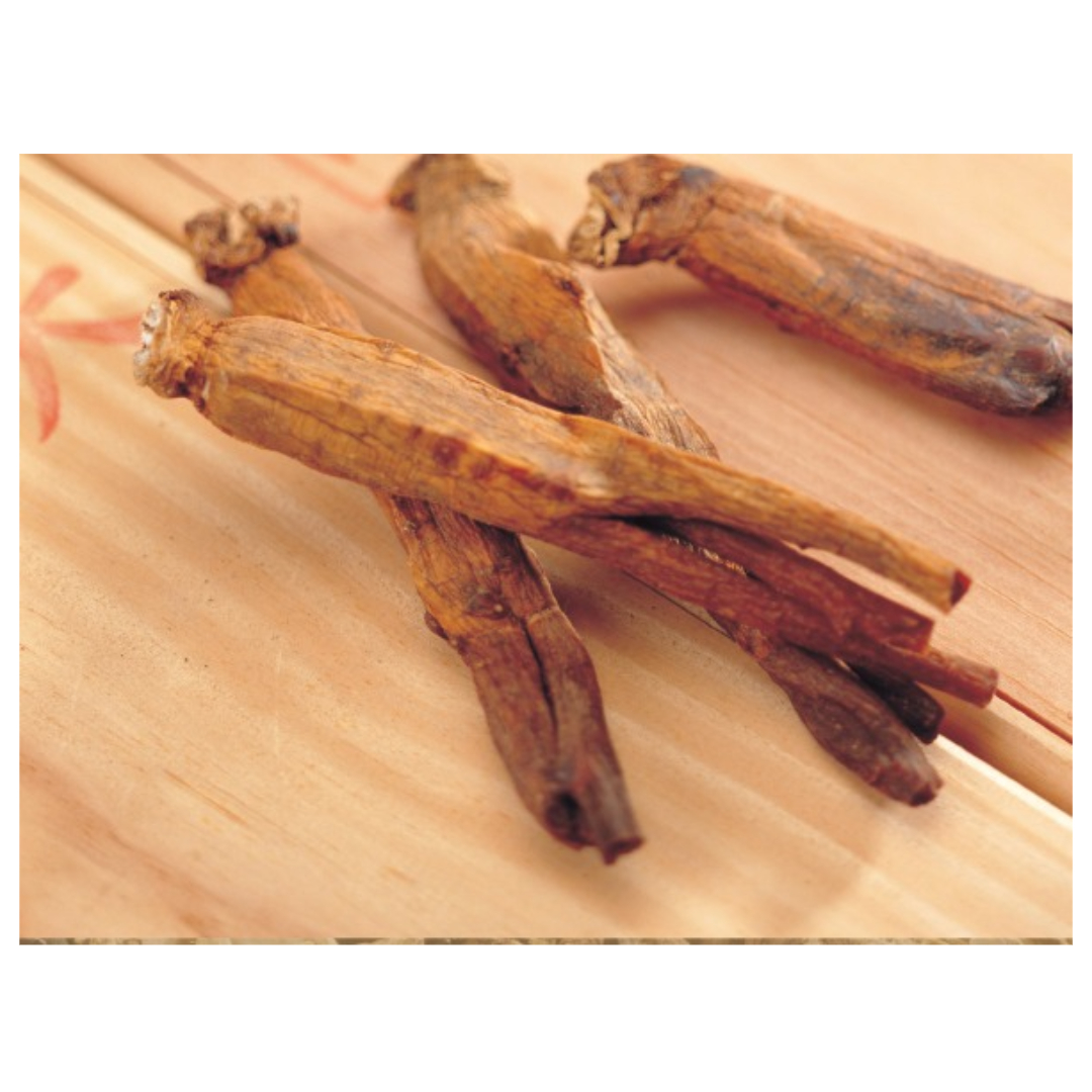 경옥고와 관련된 사진입니다.