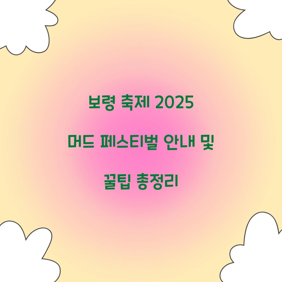 보령 축제 2025 머드 페스티벌