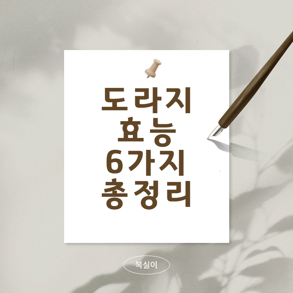 도라지-효능-6가지를-정리한-문구-설명