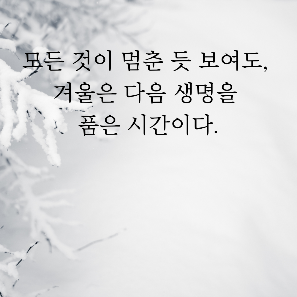 겨울 좋은 글귀 겨울 명언 문구 이미지
