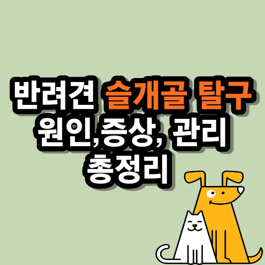 강아지 슬개골 탈구 썸네일