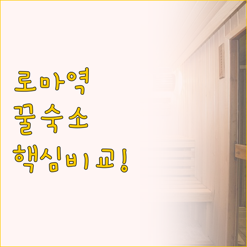 로마 테르미니 역 숙소 추천 더 로마..