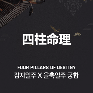 갑자일주 X 을축일주 궁합 완벽 정리