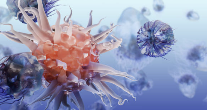 LC-MS/MS 기반 cytokine&ndash;metabolite 상관분석: 실무 가이드와 사례 중심 해설