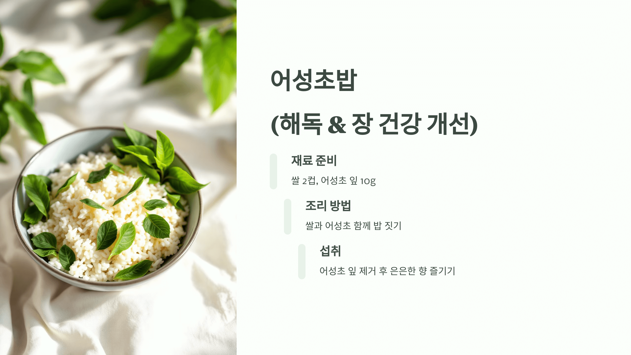 어성초 사진입니다.