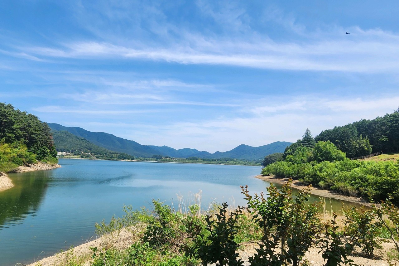 광주호 호수생태원 관련 사진