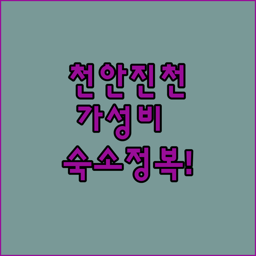 천안 진천 가성비 호텔 비교 소노벨부..