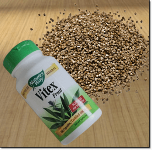 바이텍 종자와 바이텍 영양제 