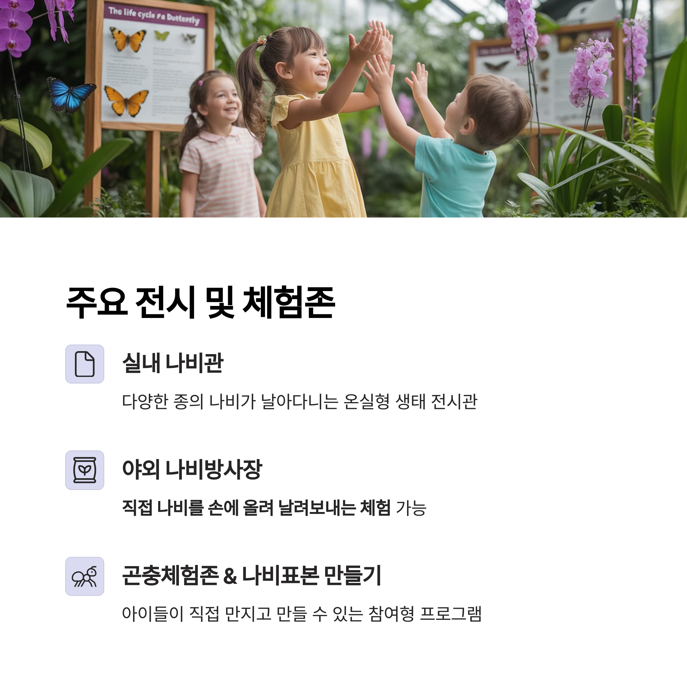 2025 함평나비대축제 완벽 안내서, 봄날의 자연 속으로!