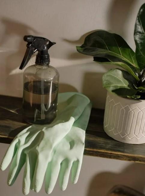 집에서 곰팡이 제거하는 확실한 방법