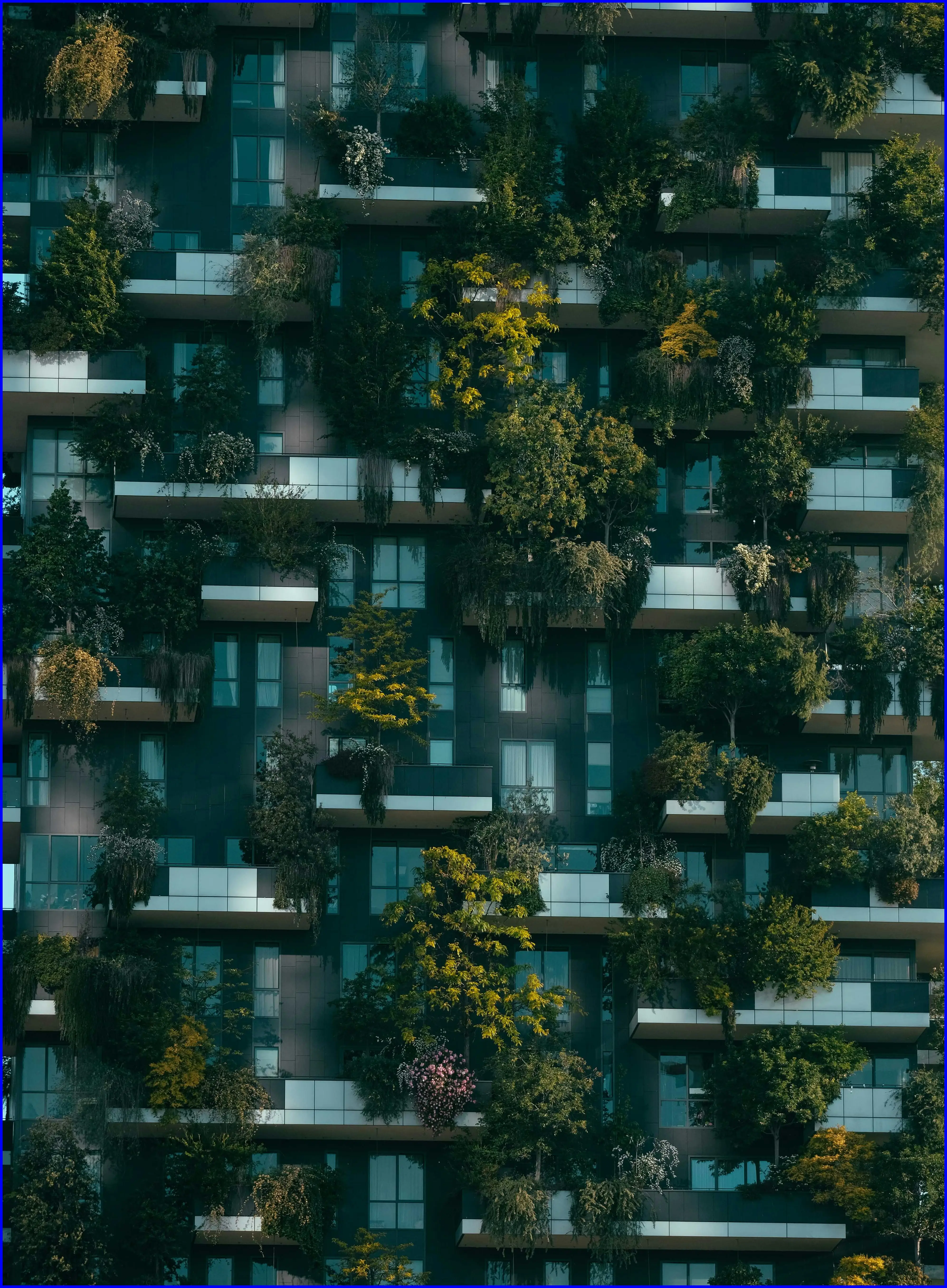 공시지가와 실거래가 차이