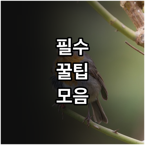 2025 가평군 상시 신청 신재생에너..