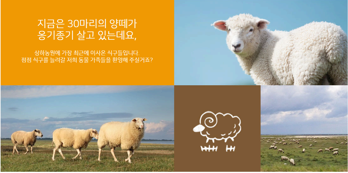 상하농원 한눈에 보기(1편): 상하농원 이용 가이드 (글램핑 및 호텔 파머스빌리지 예약, 체험 예약, 수영장, 노천탕 이용)