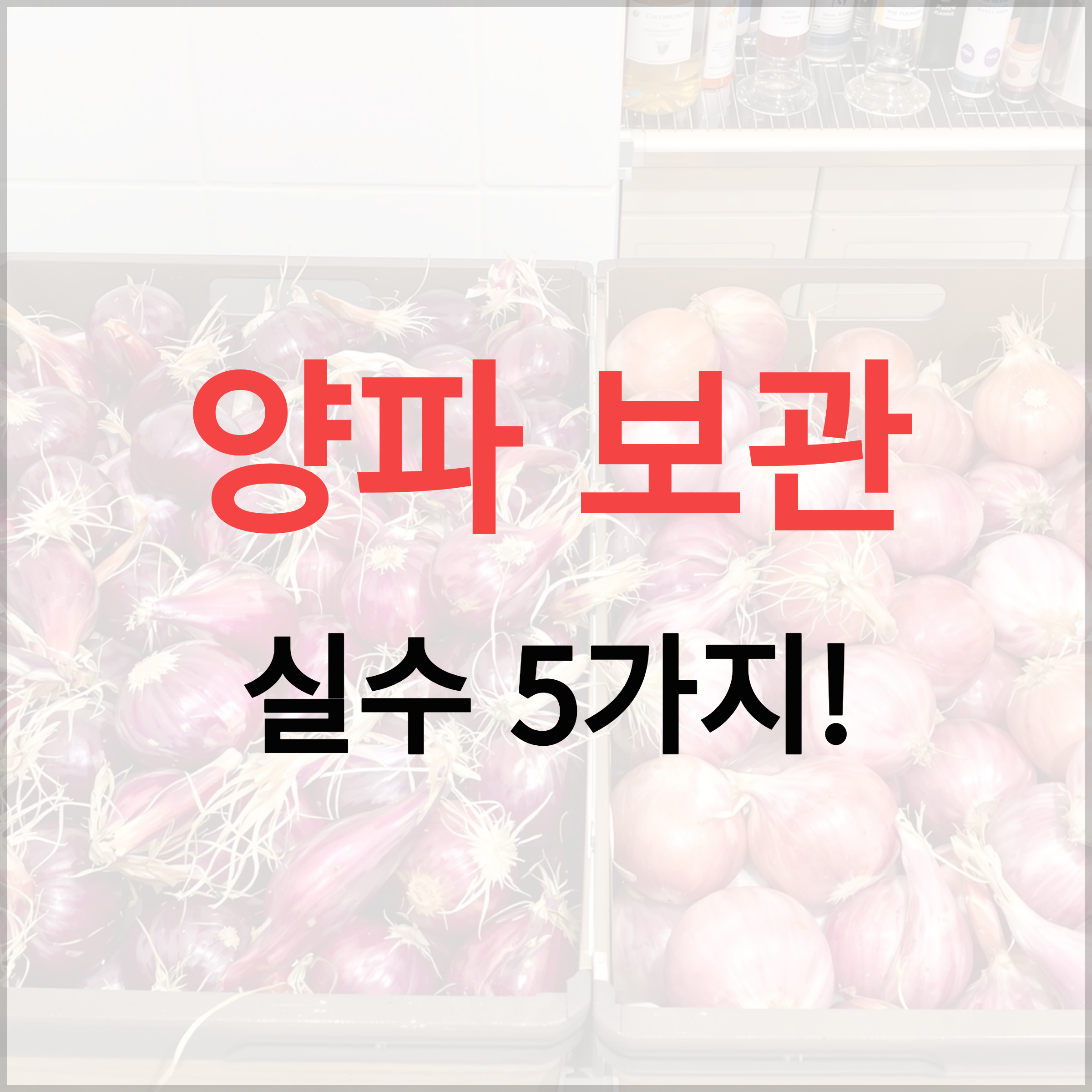 양파 보관 방법