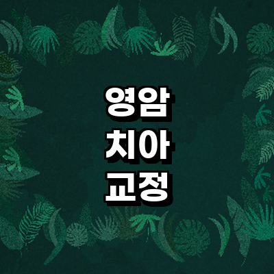 영암군 교정 치과