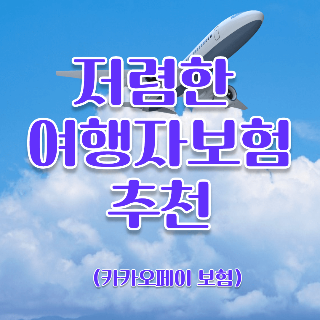 저렴한 여행자보험