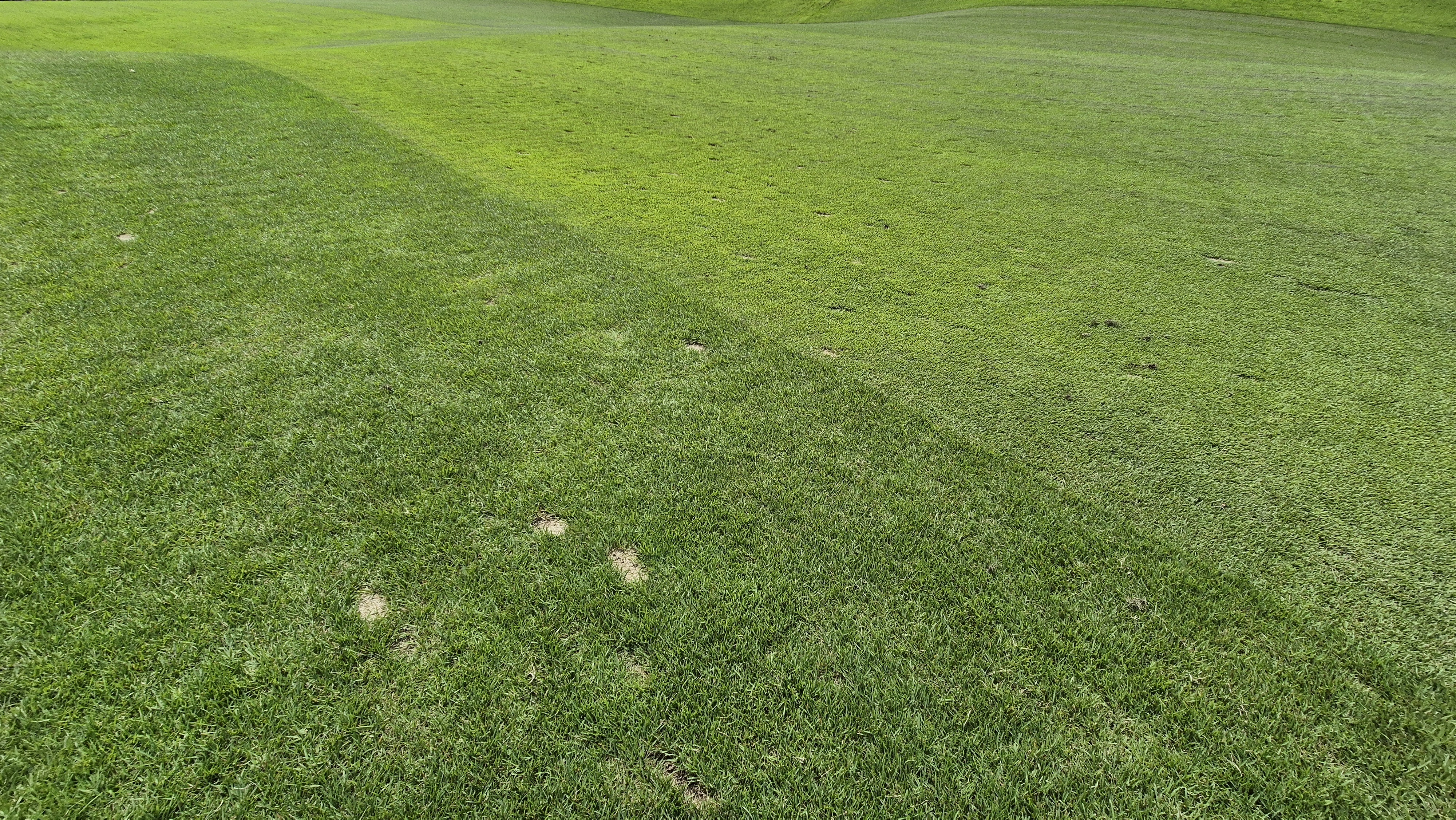 참밸리cc 라운드 후기