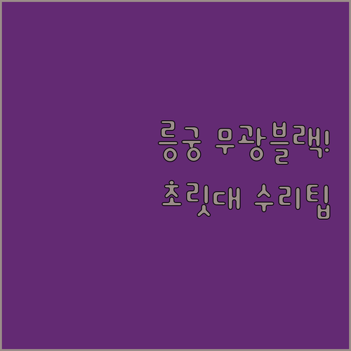 릉궁 무광 블랙 민물 낚시대 특징과 ..