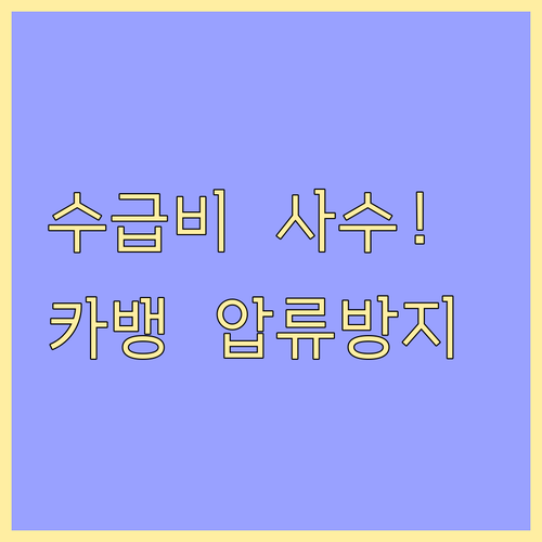 소중한 수급비 보호하는 카카오뱅크 압..