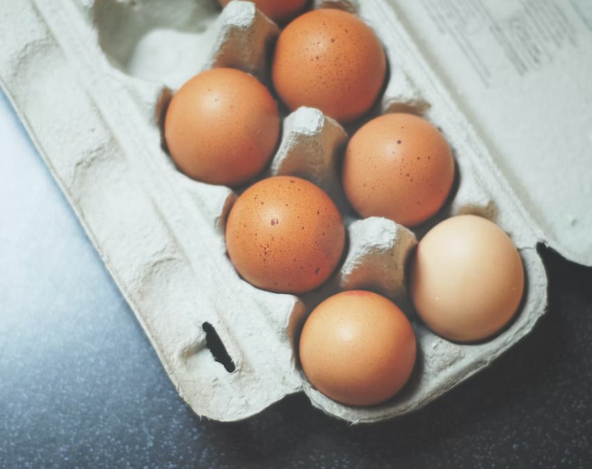 키크는 음식 추천