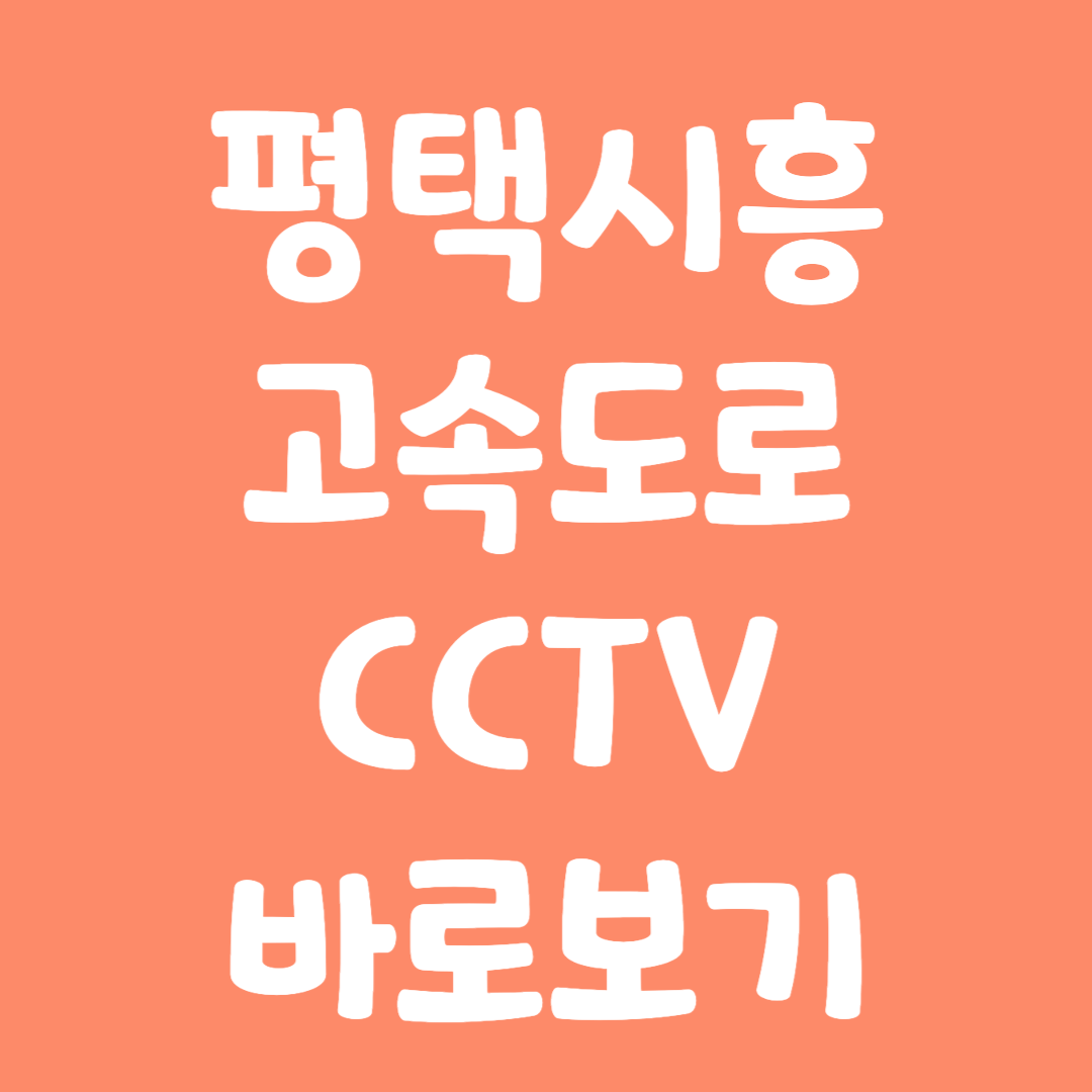 실시간 평택시흥 고속도로 CCTV 바로보기