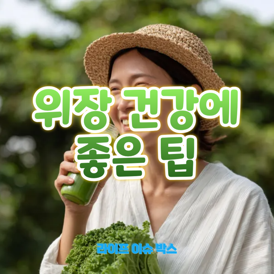 위장 건강에 좋은 팁