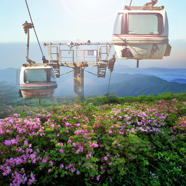 덕유산 곤도라 요금