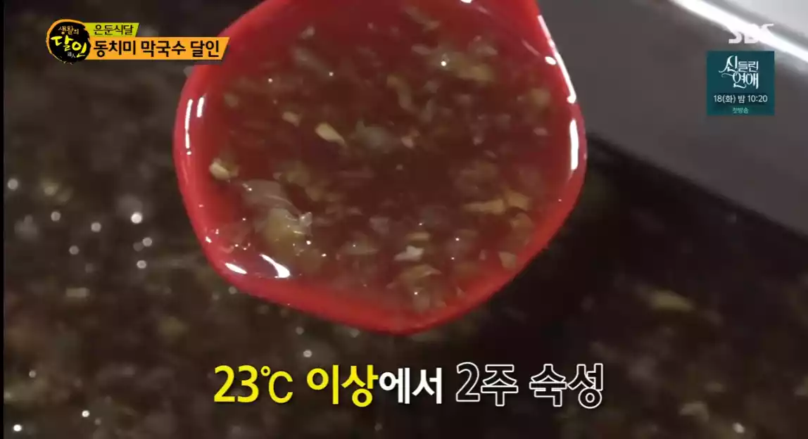 숙성 양념