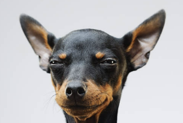 분노조절장애 증상 원인 치료법 진단테스트 총정리