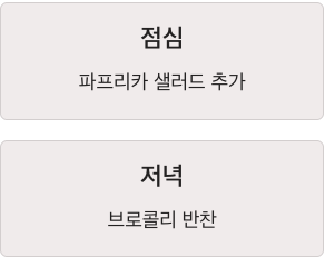 비타민C 점심 저녁