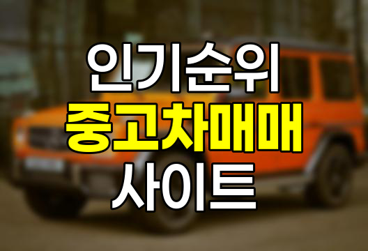 중고차 매매 사이트 앱 인기 순위