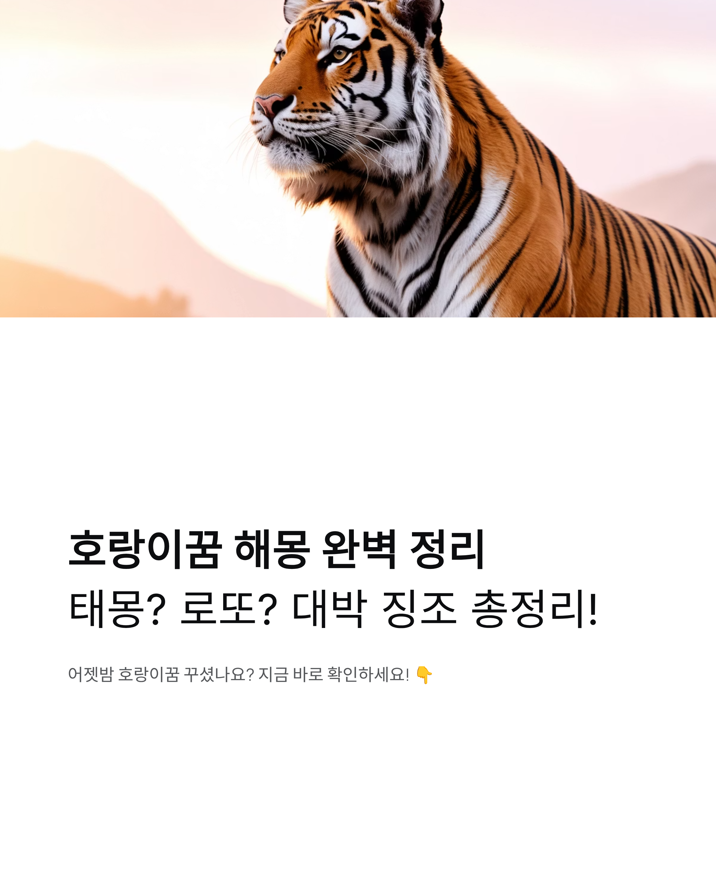호랑이꿈 해몽 완벽 정리 - 태몽? 로또? 대박 징조 총정리!
