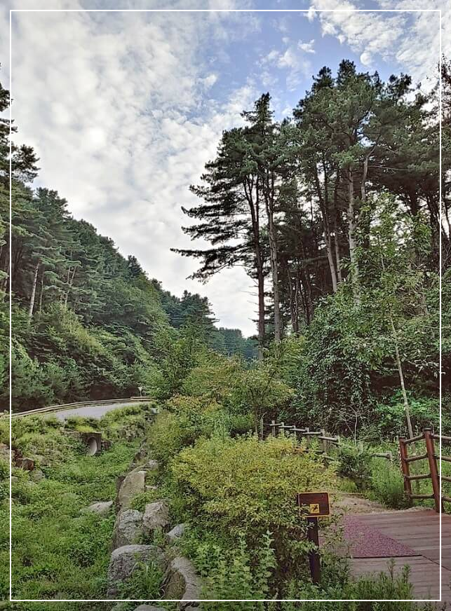가평 가볼만한곳 베스트10 잣향기푸른숲