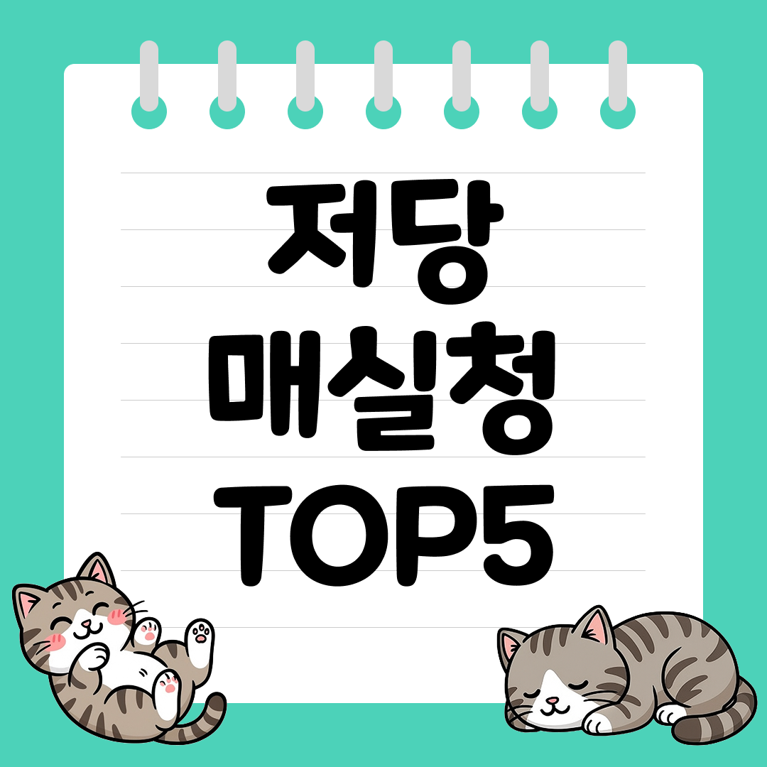 건강한 요리에 필수 재료 저당 매실청 추천 순위 TOP5