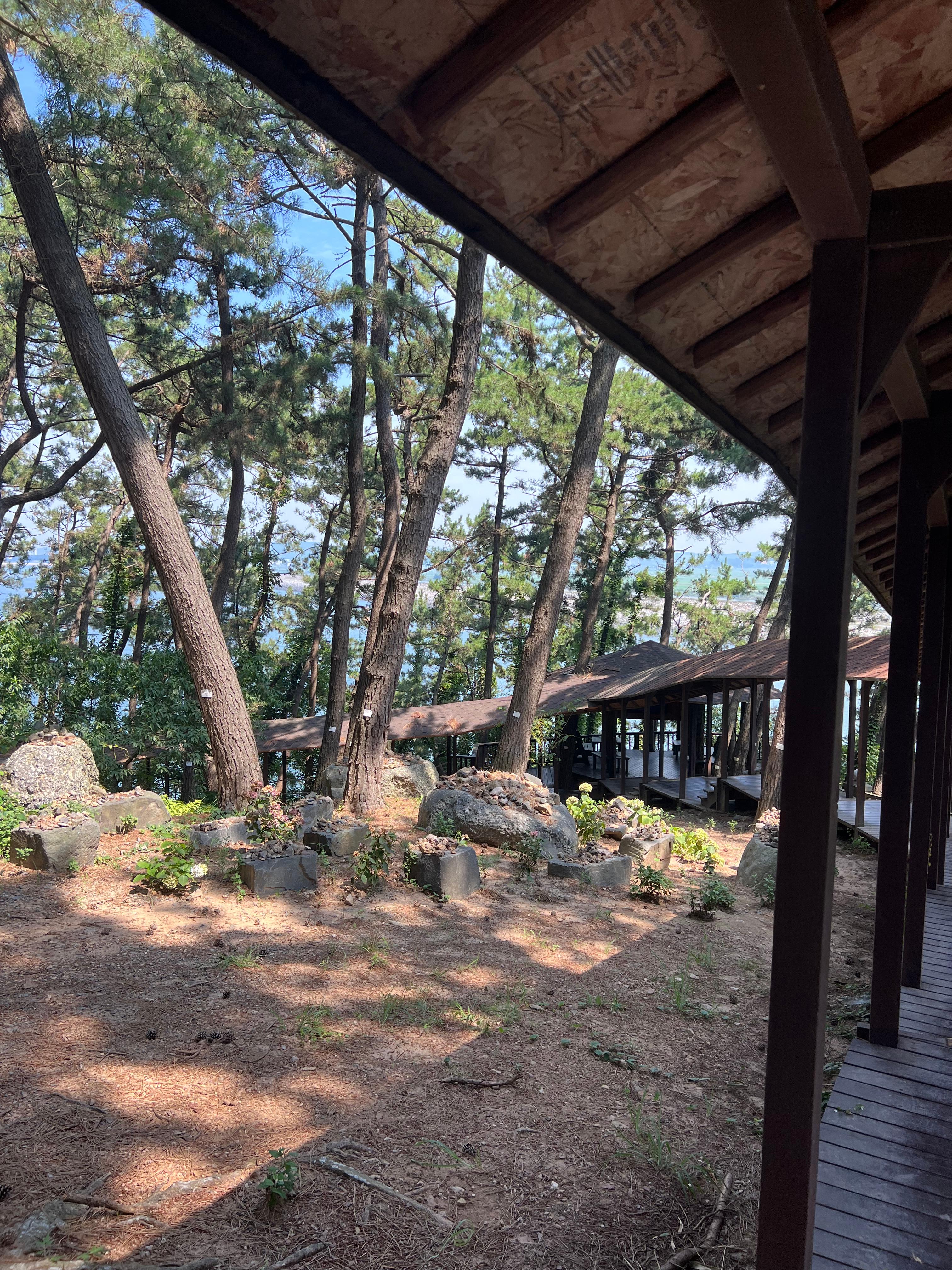 죽도(상화원)