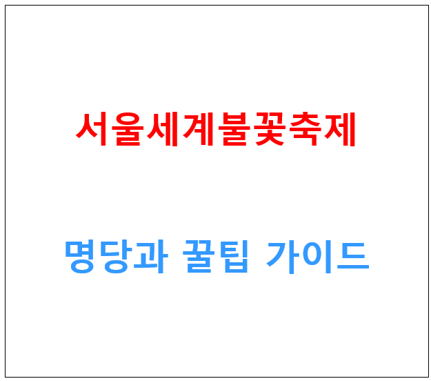 불꽃축제정보