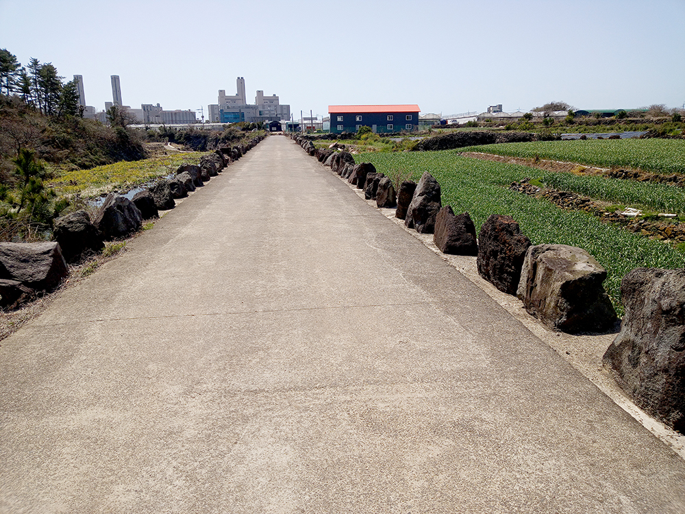 올레9코스, 화순금모래해수욕장으로 가는 길