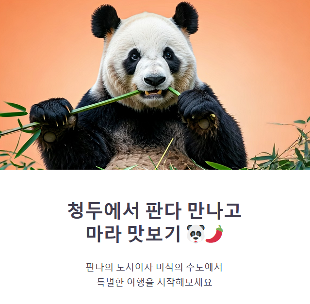 청두 판다센터 &amp; 쓰촨 음식 체험 (자이언트 판다, 마라요리, 여행코스)