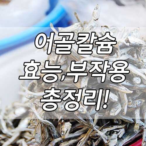 어골칼슘 효능과 부작용, 어골칼슘 하루권장량, 함께 먹으면 좋은 음식 까지, 어골칼슘 총정리!