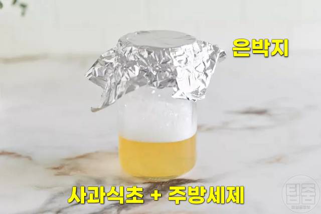 초파리 없애는법 사과식초 초파리트랩 역효과