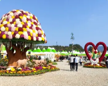 고흥 유자축제_8