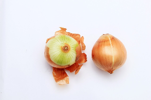 일반쓰레기 배출