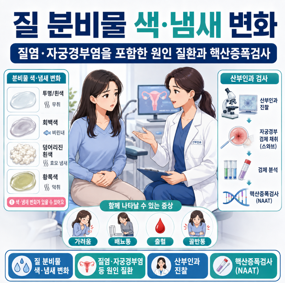 질 분비물 색&middot;냄새 변화와 가려움&middot;배뇨통&middot;출혈&middot;골반통, 산부인과 진찰 및 핵산증폭검사를 설명하는 의료 인포그래픽