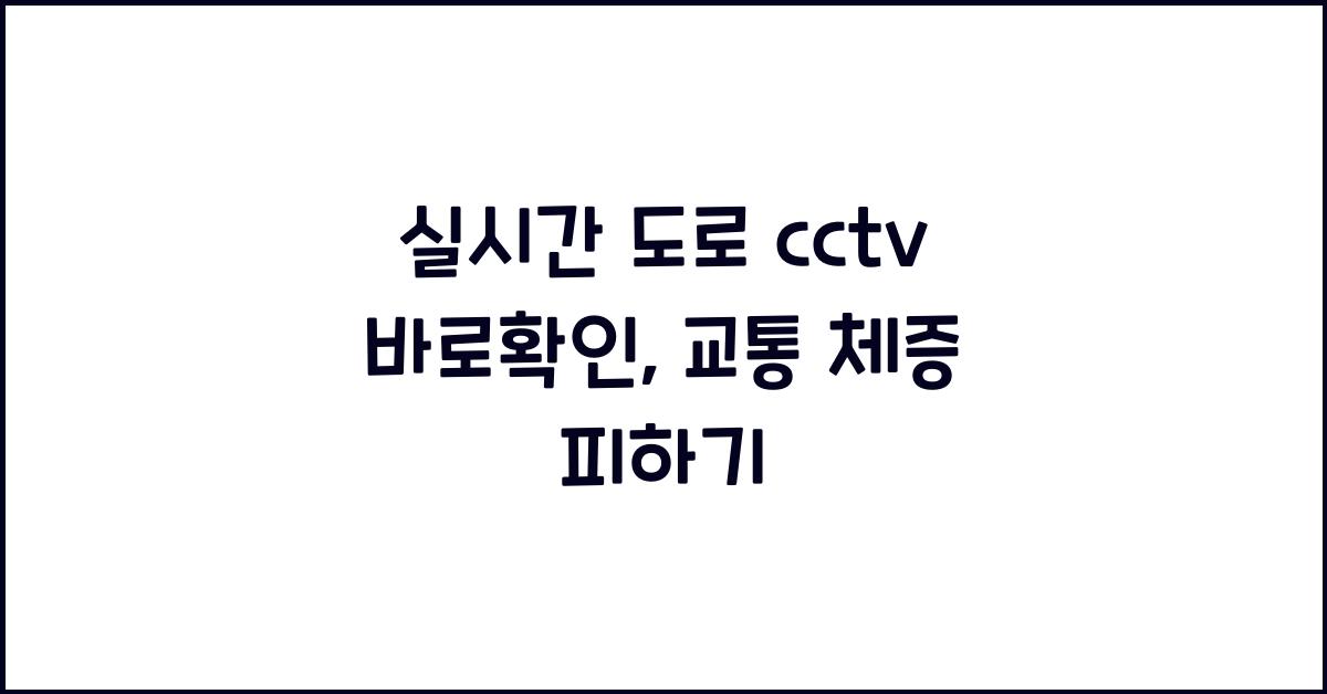 실시간 도로 cctv 바로확인