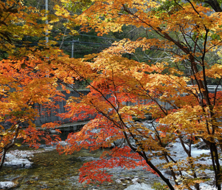 대한민국 가장 높은산 TOP 10